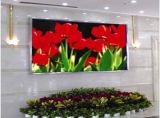 P4mm Indoor LED Display /Indoor Full Color LED Display