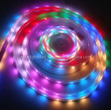 LED Ribbon Light 5050RGB LED Strip (EL-NS5050RGB60)