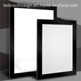 Printed Folding Box for LED Light Box