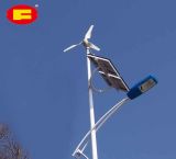 30W Wind-Solar Hybrid LED Street Light