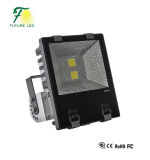 150W LED Outdoor Light/Tunnel Light with Competitive Price