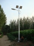 Wbr0102 40W Single Lamp LED Street Solar Light