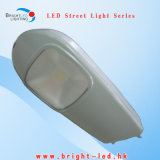 Professional 30W Solar LED Street Light
