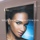 Waterproof LED Light Box for Outdoor Shopping Mall