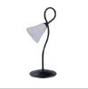 Table Lamp (TTD121B)
