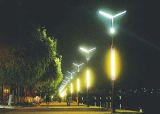 LED Solar Street Light IP65