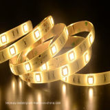 LED Constant Strip Light with High Brightness Consistency