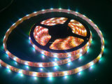 Flexible SMD5050 LED Strip Light (30LEDs/M; 60LEDs/M; 120LEDs/M)