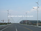 10m 80W Saving Energy Solar Wind Hybrid LED Street Light