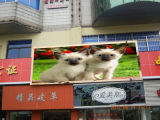 P6 Outdoor Full Color LED Display for Advertising