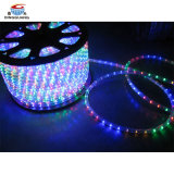 CE Approved Circle 2 Wire LED Rope Light
