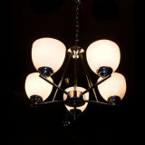 Iron Antique Chandelier Lamp Home Lighting Fixtures Tb1020-5L
