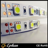 CE RoHS Approval LED Strip (EPSEC50-60-W)