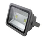 100W COB LED Floodlight/Outdoor Light