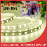 IP20 Flexible 300 LEDs 5630 SMD 24V C. V LED Strip Light
