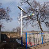 30W Solar LED Street Light with 3 Years Experience