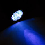 9 LED 400nm UV Ultra Violet Flashlight (SF-09D)