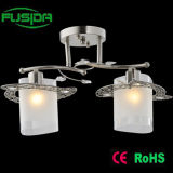 Modern Decorative Ceiling Light with CE Certificate