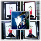 Window Display Double Side Acrylic LED Light Box with Magnetic