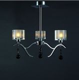 Comtemporary 3 - Light Crystal Chandeliers with Glass Shade G9 Bulb Base (ZW2092-3)