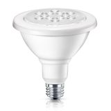 15-Watt Indoor/Outdoor PAR38 Dimmable LED PAR Light