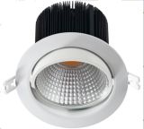 15W Indoor Ceiling Spotlight with COB LED Chip