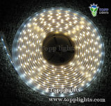 LED Strip Light 5050 IP68 (TP-5050-60-W)