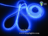 Outdoor LED Strip Light (TP-3528-60-B)