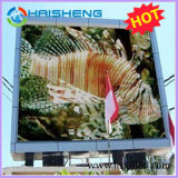 P16mm Outdoor LED Display Used for Advertising