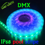 Digital Addressable RGB LED DC24V_Dome_Cove 6LEDs, Round PVC Base DMX PVC Point Light