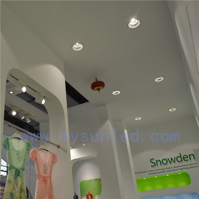 High Quality LED Down Lamps with Competitive Price 6-2029t
