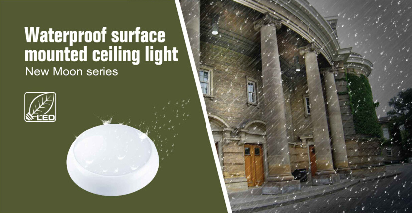 3 Years Warranty Waterproof Surface Mountted LED Ceiling Light