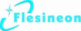 Flesineon Light-Decoration Co. Ltd.