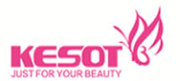 Kesot Electronic Equipment Co., Ltd. 