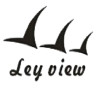 Shenzhen Leyview Intelligent Control Co Ltd