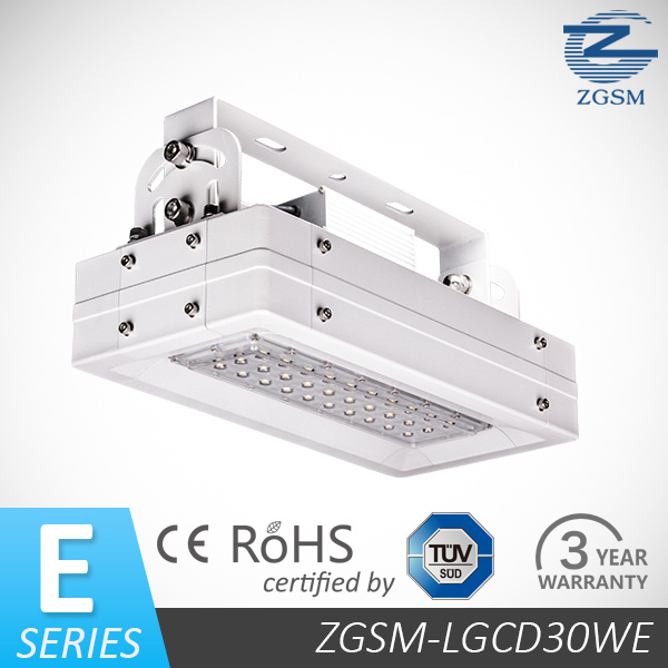 IP66 30W Energy Saving LED High Bay Light, Low Bay Light (ZGSM-LGCD30WE)