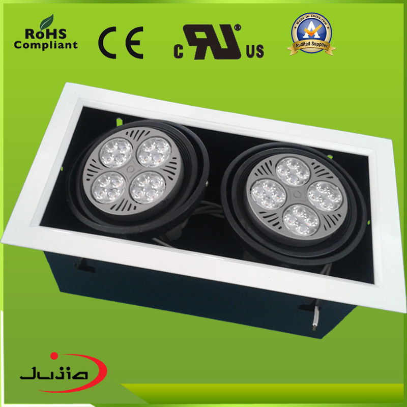 LED PAR30 Down Light