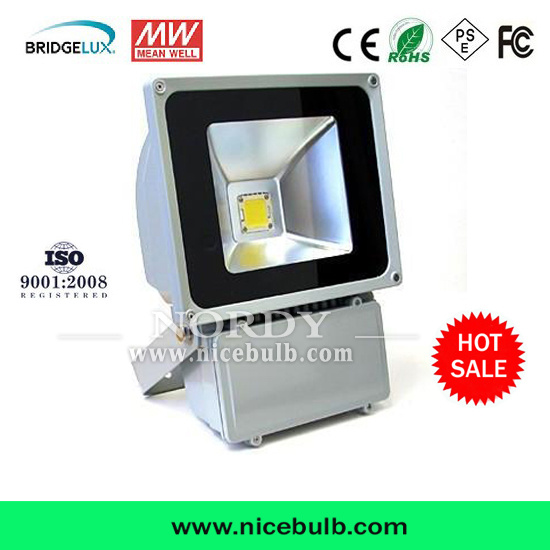 80W IP65 Outdoor Playground Gym LED Flood Light