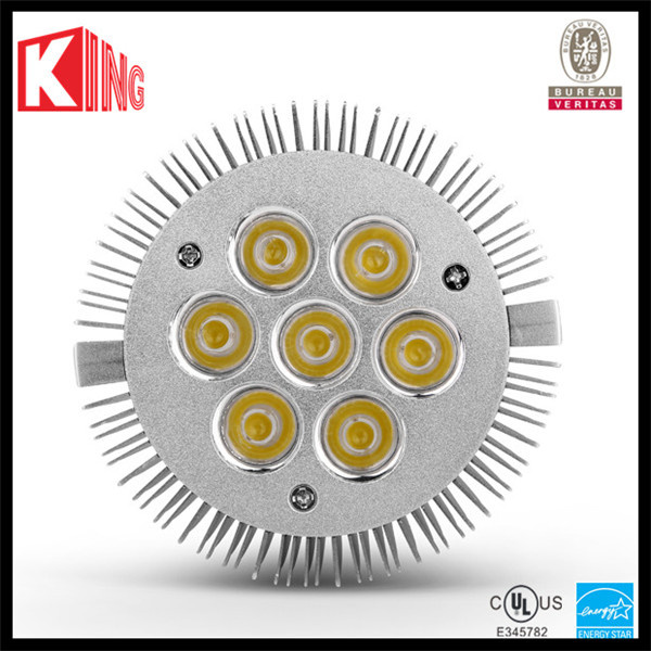 High Power UL LED PAR Lights PAR20 PAR30 PAR38 LED Bulbs10W 15W