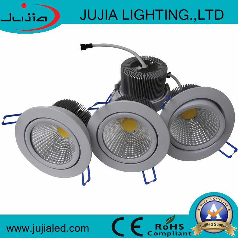 30W Warm White LED Down Light Supplier