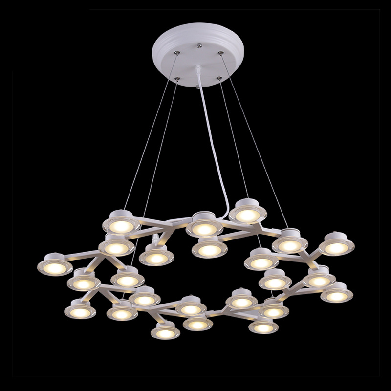 Flower Modern LED Decorative Indoor Pendant Lamp (HS30192D-24)
