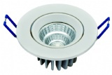 LED Ceiling Light