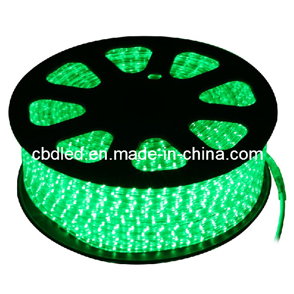 Outdoor 5050 LED Strip Light (IP68 220V)