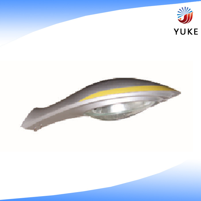 Wind Speed LED Street Light with CE SAA