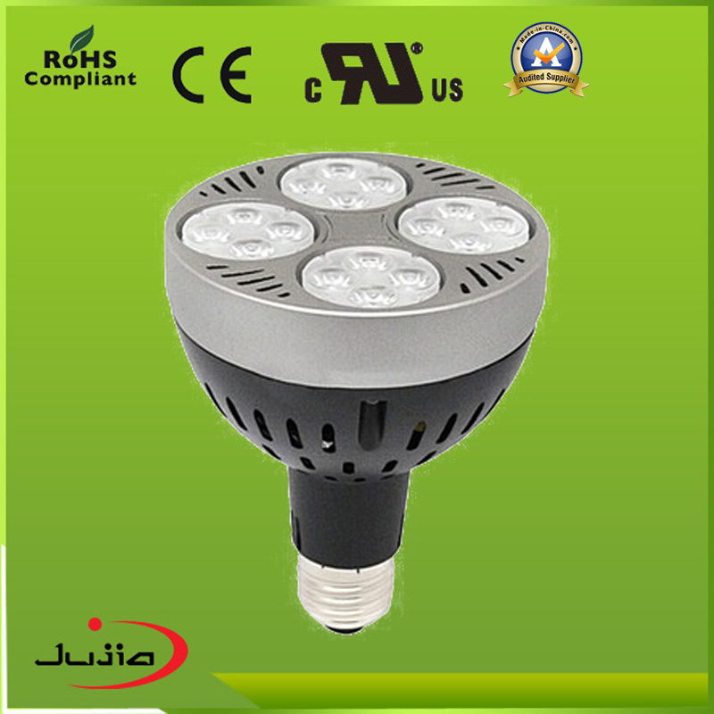 E27base LED PAR30 Spotlight