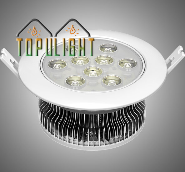 9W Topu LED Ceiling Light