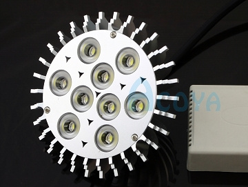 LED Spotlight (AR111)