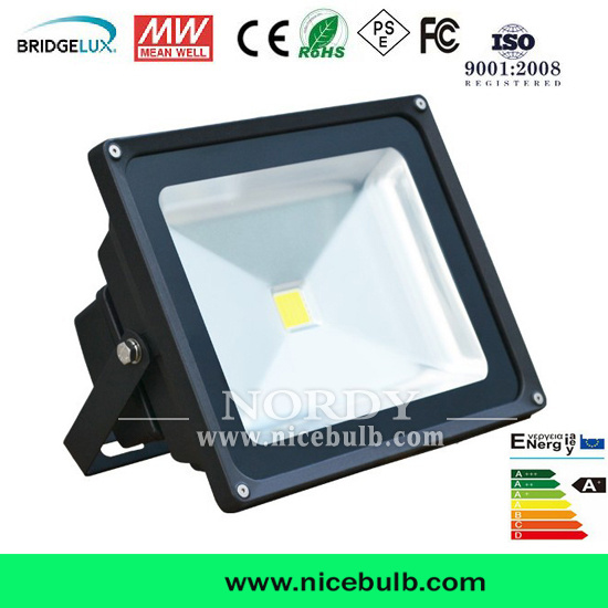 LED 30W 50W 100W Flood Light in Outdoor