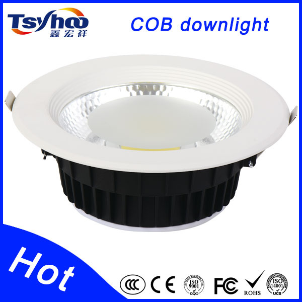 Hot Sale! 30W Epistar COB LED Down Light