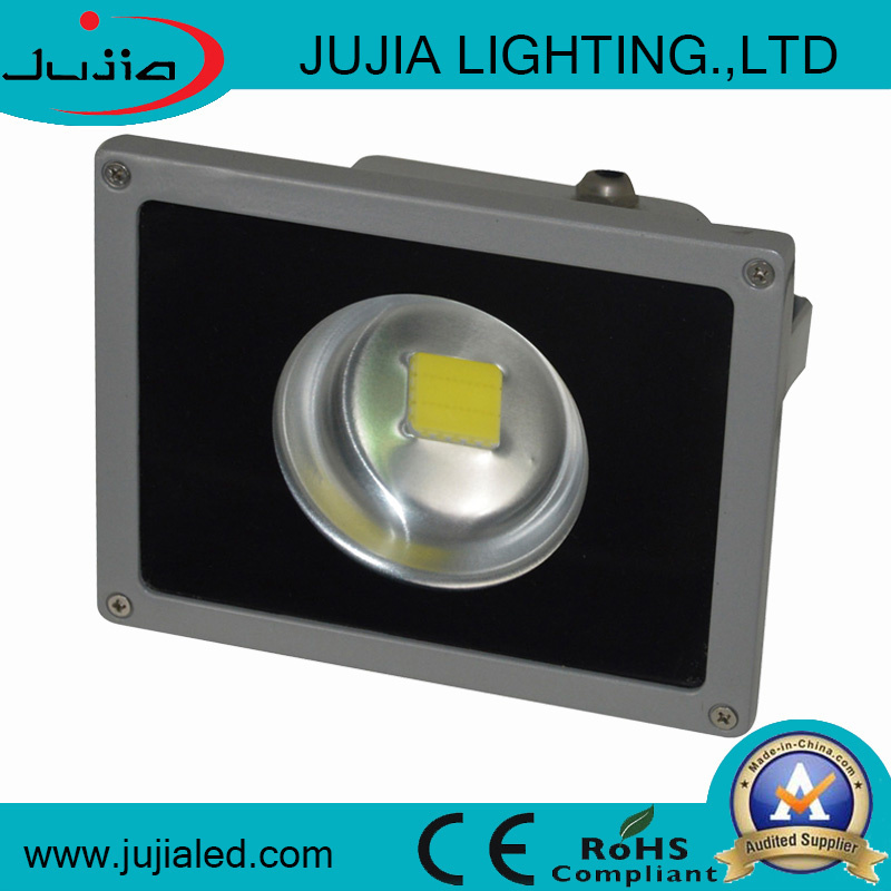 Outdoor LED COB Flood Light